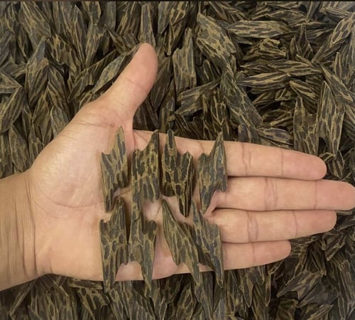 بكج المناسبات (عود التايقر+معمول ذهبي)