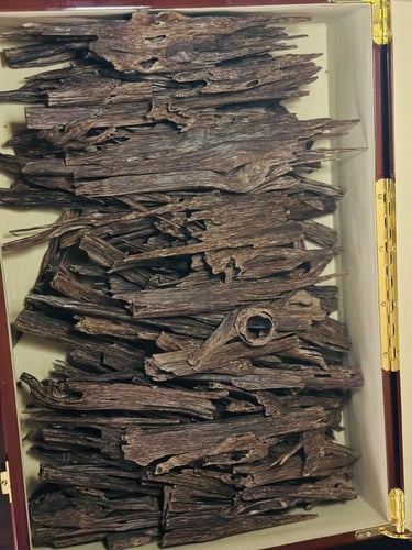 عود هندي نجلاند قديم