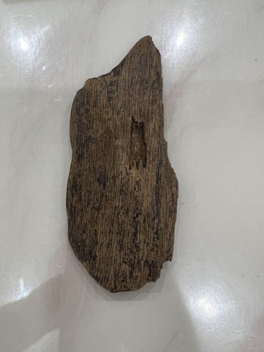 عود مروكي طبيعي دبل وتربل