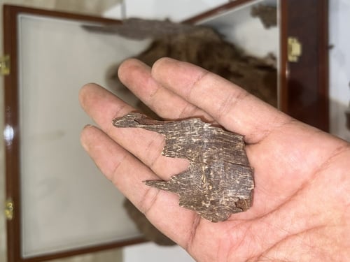 عود جنوب تايلند دبل سوبر فآخر جداً