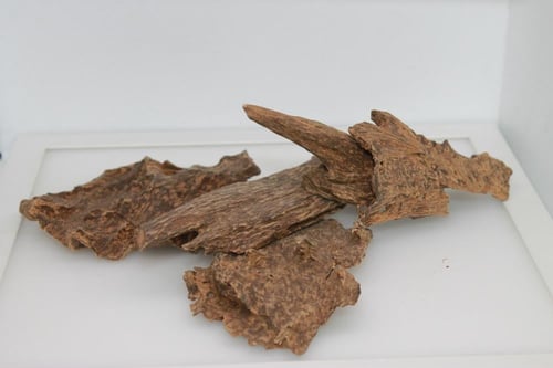 عود جنوب تايلند دبل سوبر فآخر جداً