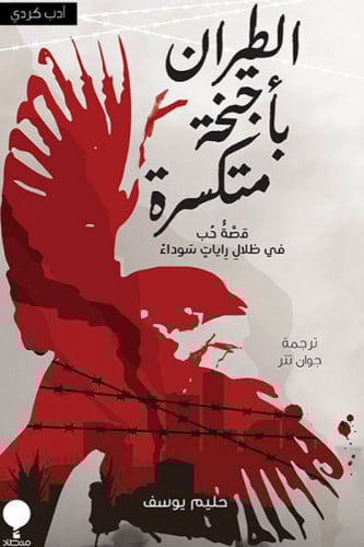 الطيران بأجنحة متكسرة