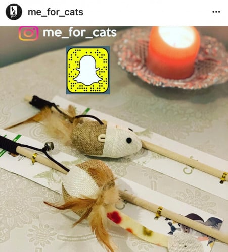 سناره خشب ع شكل فار