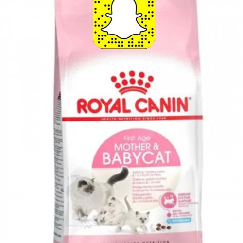 رويال طعام قطط مذر اند بيبي 4 كيلو