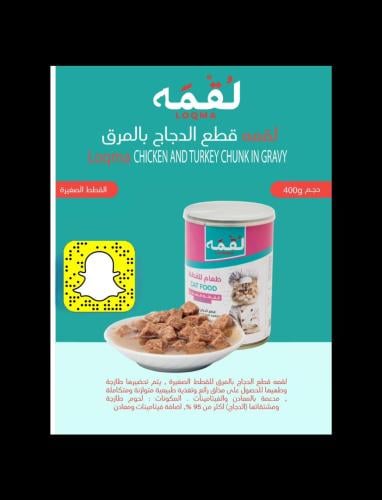 اكل رطب لقمه قطع دجاج بالمرق للقطط الصغيره