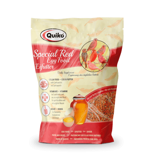 الباتيه الأحمر