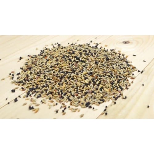 مشكل كناري بدون فيتامين