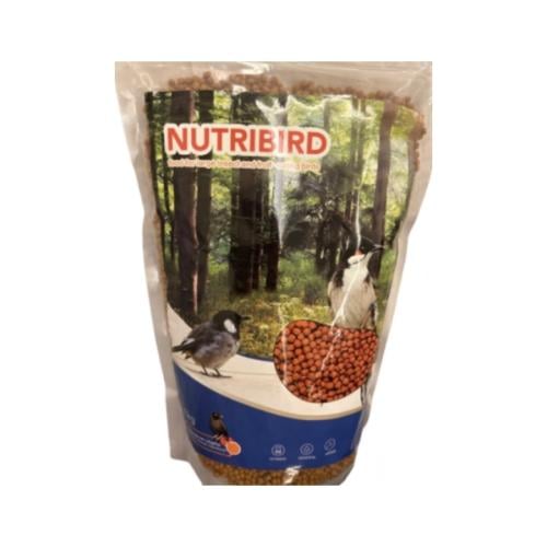 غذاء البلابل والمينا