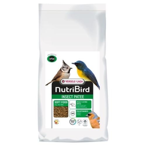 باتيه الحشرات