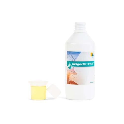 بلجاريك مع فيتماين E