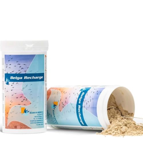 اعاده شحن الطاقه