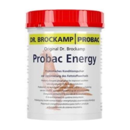 بروباك الطاقه