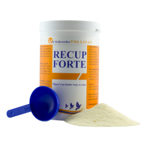 الكترولايت المطور