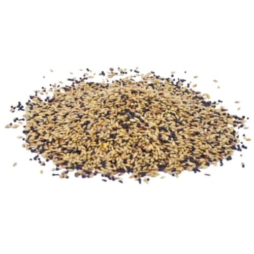 مشكل كناري بدون فيتامين