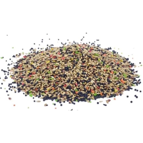 مشكل كناري بالفيتامين