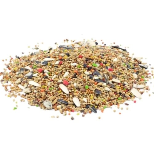 مشكل كروان وروز