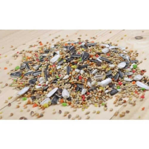 مشكل كروان وروز