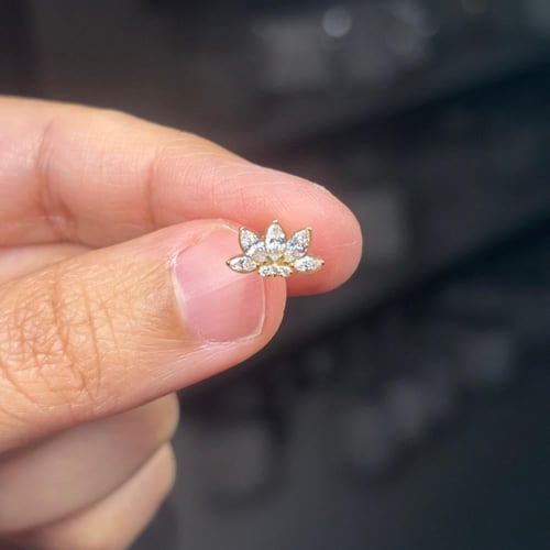 عود نص زهره