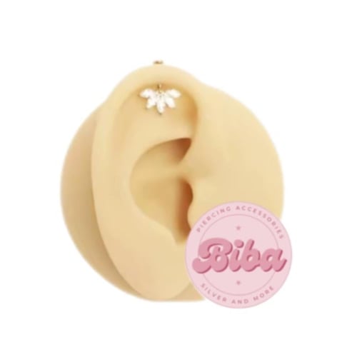 عود نص زهره