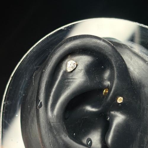 عود الكمثرى