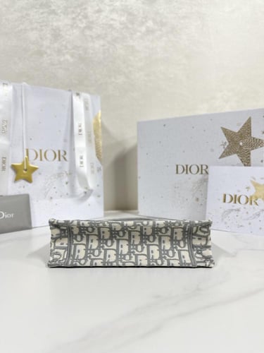 Dior book toti 24cm