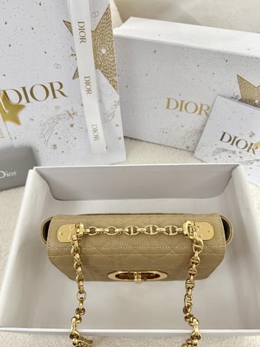 شنطة ديور 20cm Caro