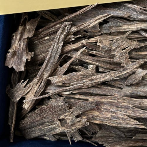 عود هندي أنفال