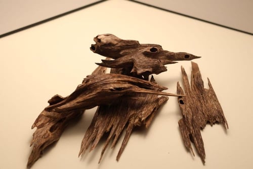 عود هندي أنفال