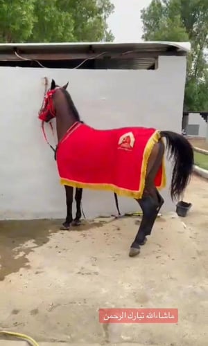 خدمة التطريز حسب الطلب