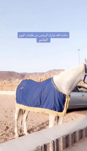 خدمة التطريز حسب الطلب