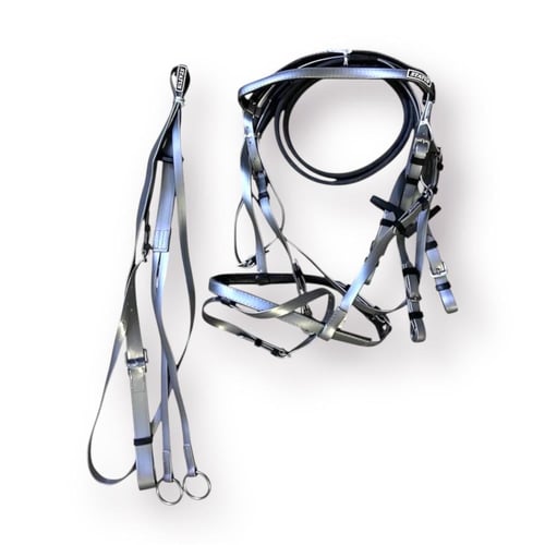 طقم لجام ستيتوس الاصلي الألوان الأكثر طلباً