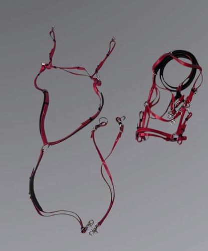 طقم لجام تحمل ستيتوس الاصلي عده اللوان ٧ قطع