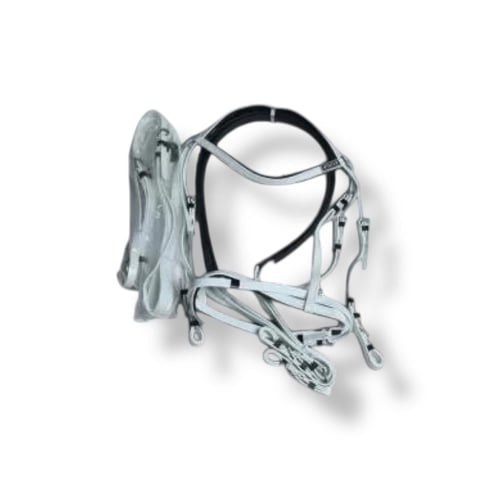 طقم لجام ستيتوس الاصلي عده اللوان