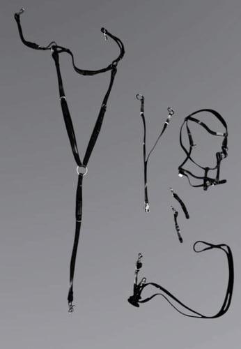 طقم لجام تحمل ستيتوس الاصلي عده اللوان ٧ قطع