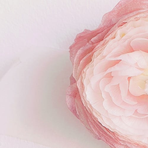 جلسة تفتيح المناطق الحساسة بالميزوثيربي