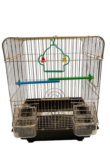 قفص طيور ذهبي