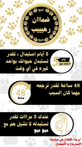 طائر بادجي اخضر