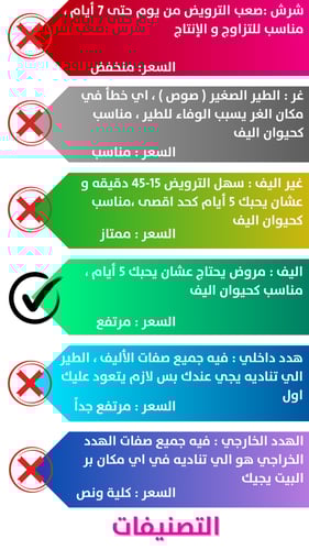 كروان لاتينو