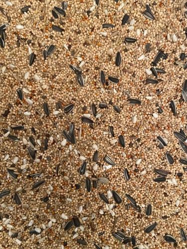 أكل كروان و روز