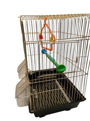 قفص طيور ذهبي