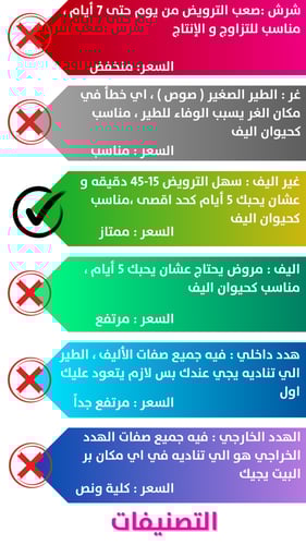 بادجي اخضر فسفوري