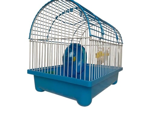 قفص بداياته الهامستر