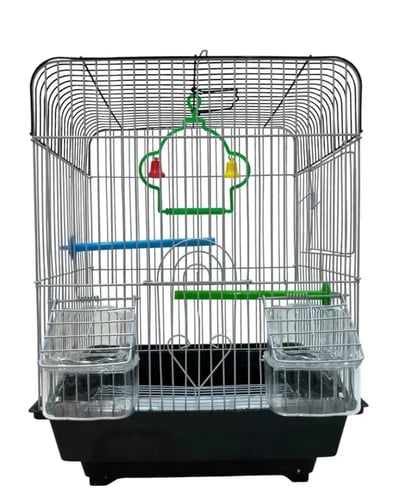 باقة فيشر الفاخرة - ثنائي مختار بعناية ( Padda ory...