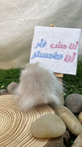 هامستر رمادي أبيض سوري (Syrian Hamster Gray White)