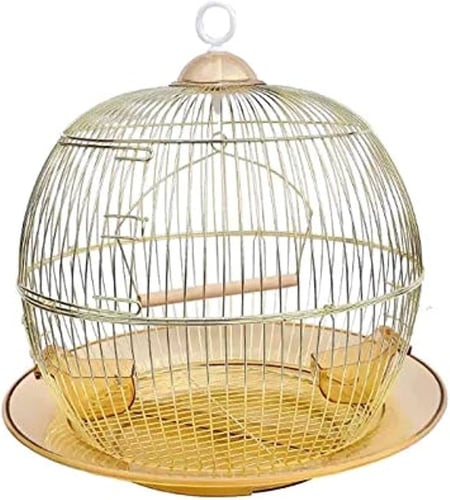 باقة الكناري الفاخرة - ثنائي مختار بعناية ( Canary...