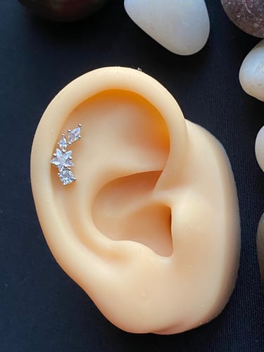 بيرسنق اذن ستانلس ستييل ( مقاوم للصدأ)