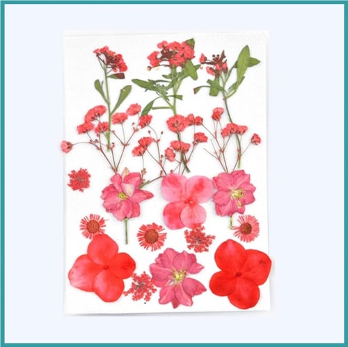 ورود مجففة - كيس كبير