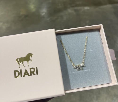 سلسال دياري