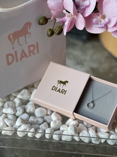 سلسال حلقة الزركون الفضي