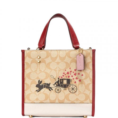 شنطة كوتش العام القمري